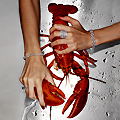 A Live Lobster Dinner at 15 East
