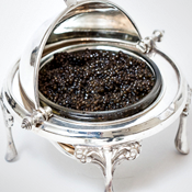 The Caviar Party Starts Now