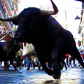 Bulls and 50-Cent Sangria