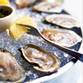 Welcome to Oyster Happy Hour