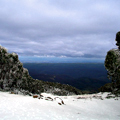 Mt. Baw Baw