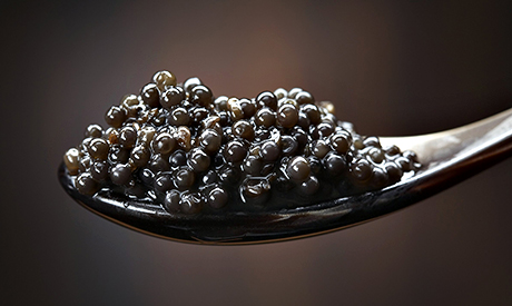 The Caviar Company